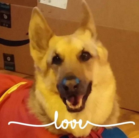 gsdmommy